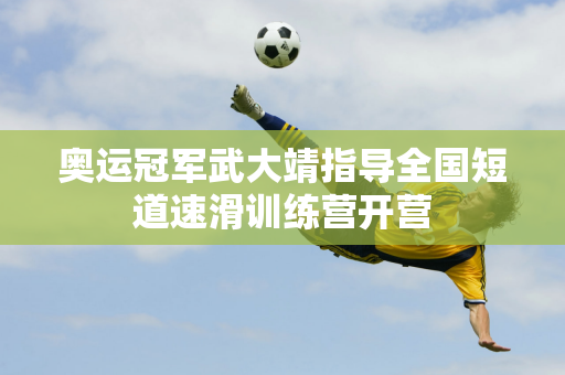 照阶段